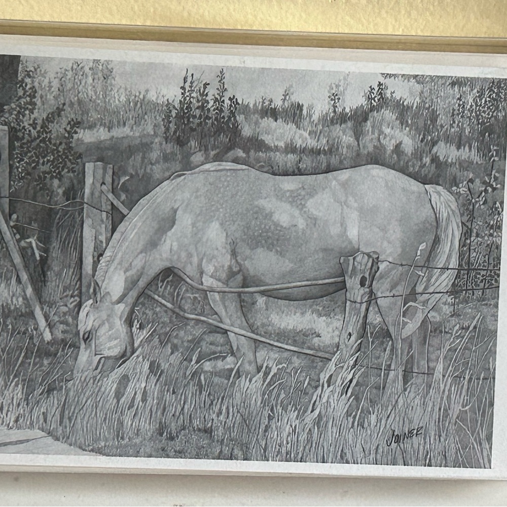 Horse Hand Drawn Dozen Blank Notecards